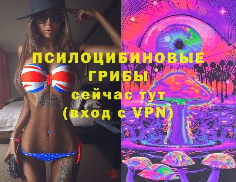 Галлюциногенные грибы Magic Shrooms  Бирск 